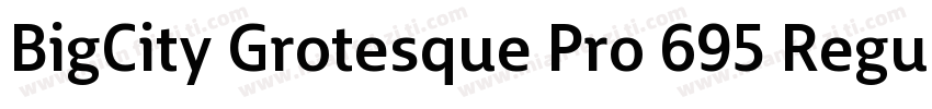BigCity Grotesque Pro 695 Regular字体转换